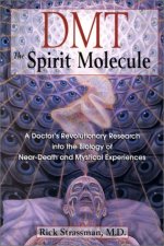 book DMT spirit molecule